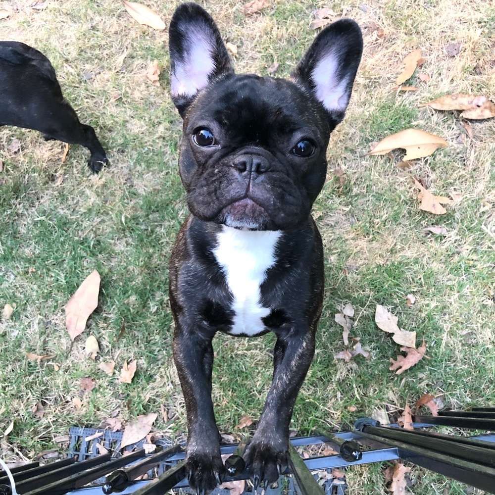 Meet your Posher, Jenn